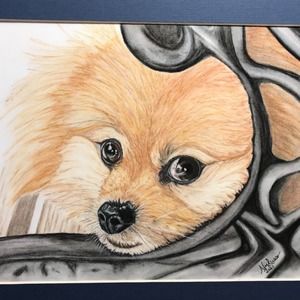 Meet your Posher, Nancy m.